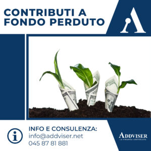 Contributi a fondo perduto